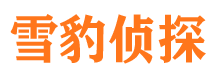 老边外遇调查取证